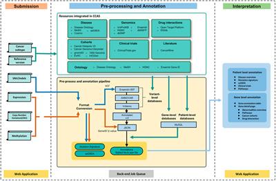 CCAS: One-stop and comprehensive annotation system for individual cancer genome at multi-omics level